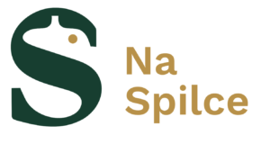 Logo Na Spilce